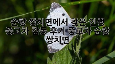 🚗💨 순창 쌍치면에서 찾은 인생 중고차! 감동 후기 #중고차 #순창 #쌍치면